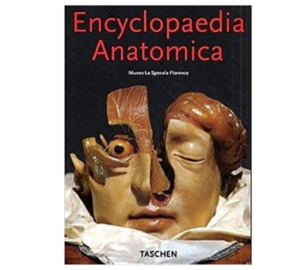 Encyclopedia Anatomica: Museo La Specola Florence